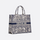 GROßE DIOR BOOK TOTE TASCHE